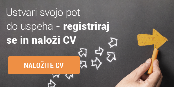 mojedelo.com